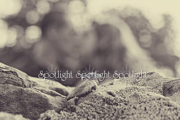 Michelle-Timothy-Engagement-071815-11